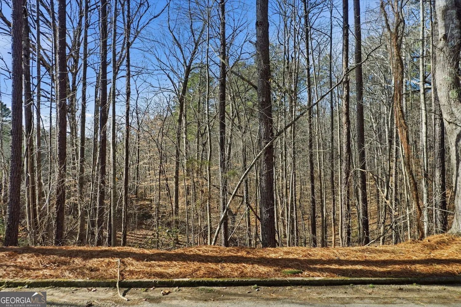 Lots & Land-Other in Canton - Canton, Georgia, 30114