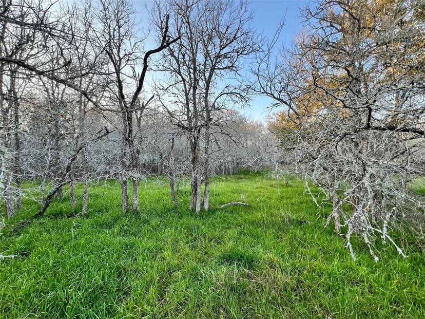 Property from 805 Wilderness - KW