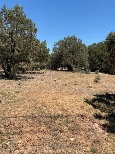 Lots & Land-Other in Payson