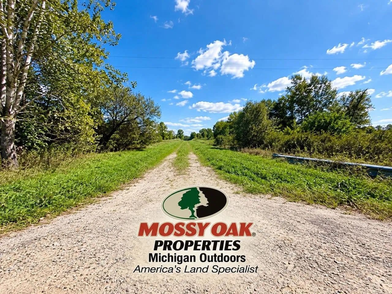 25 +/- Acres / St. Clair County, MI / Capac, MI / Tillable, Farmland, Recreational, Hunting Land For Sale - Capac, Michigan, 48014