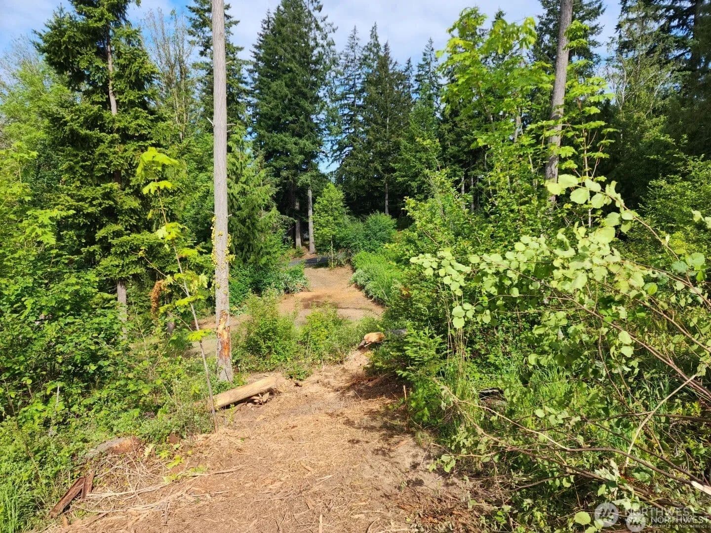 Land -Single Family Acreage in Chehalis - land for sale