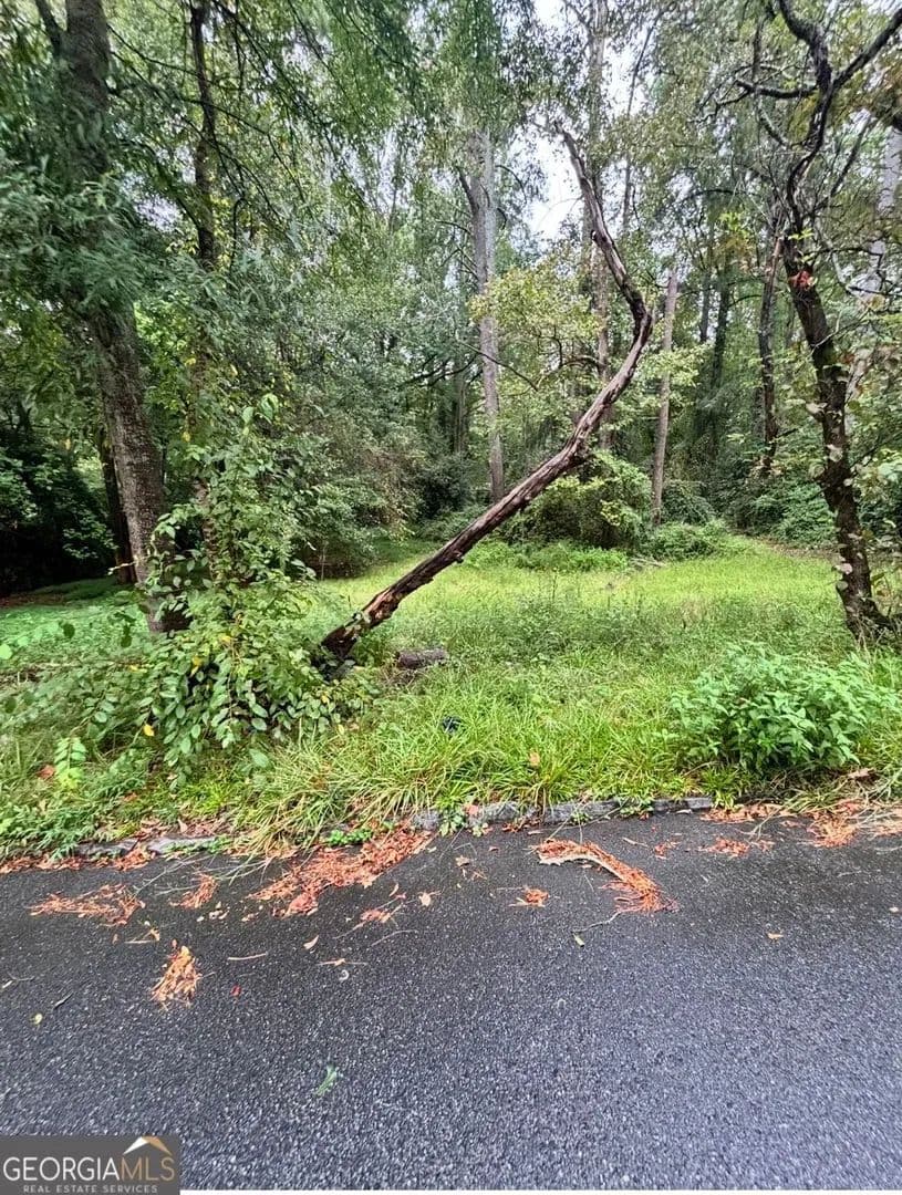 Lots & Land-Other in Fairburn - Fairburn, Georgia, 30213