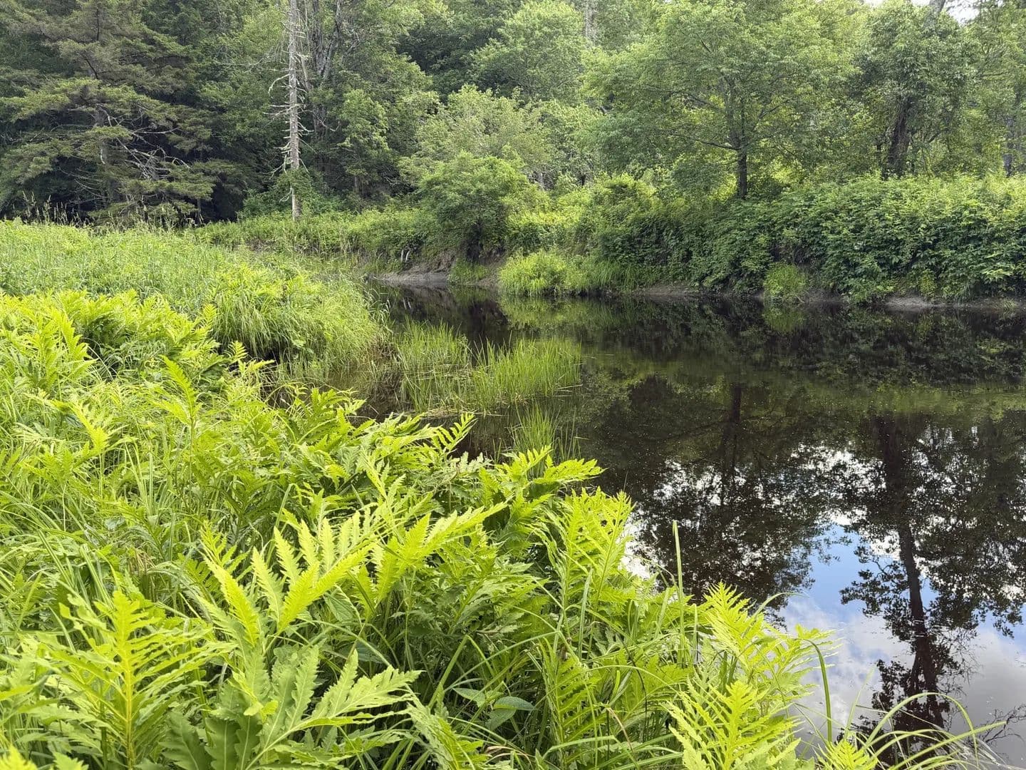 Vacant Land (0-10 Acres) in Fairfield - Fairfield, Maine, 04937