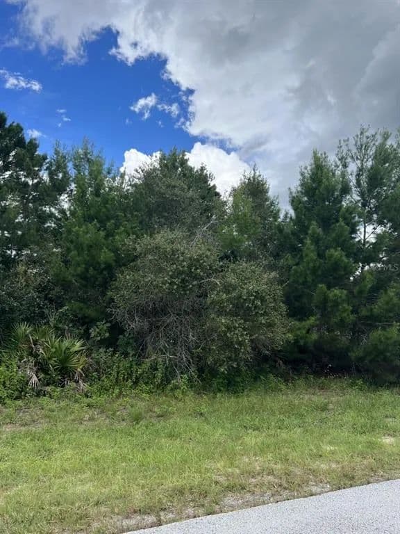 Lots & Land-Other in OCALA - Ocala, Florida, 34473