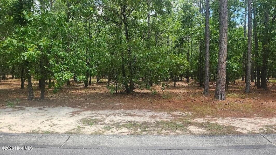 Property from 497 Estevao Lane SE - KW - Bolivia, North Carolina, 28422
