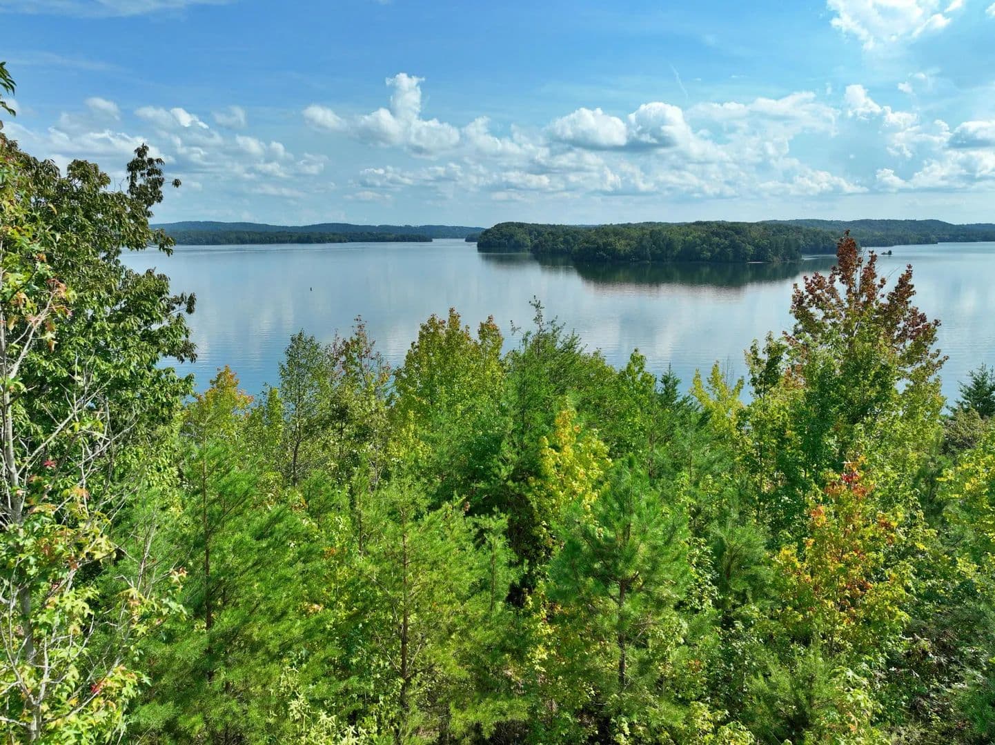Lots & Land-Other in Spring City - Spring City, Tennessee, 37381