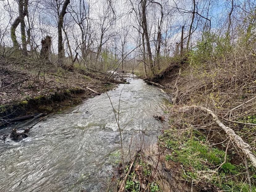 Craig Ln., Fayette County - 38.5 +/- Acres