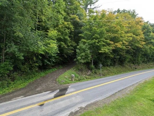 54.33 Acres of Land for Sale in Corning, NY - Corning, New York, 14830
