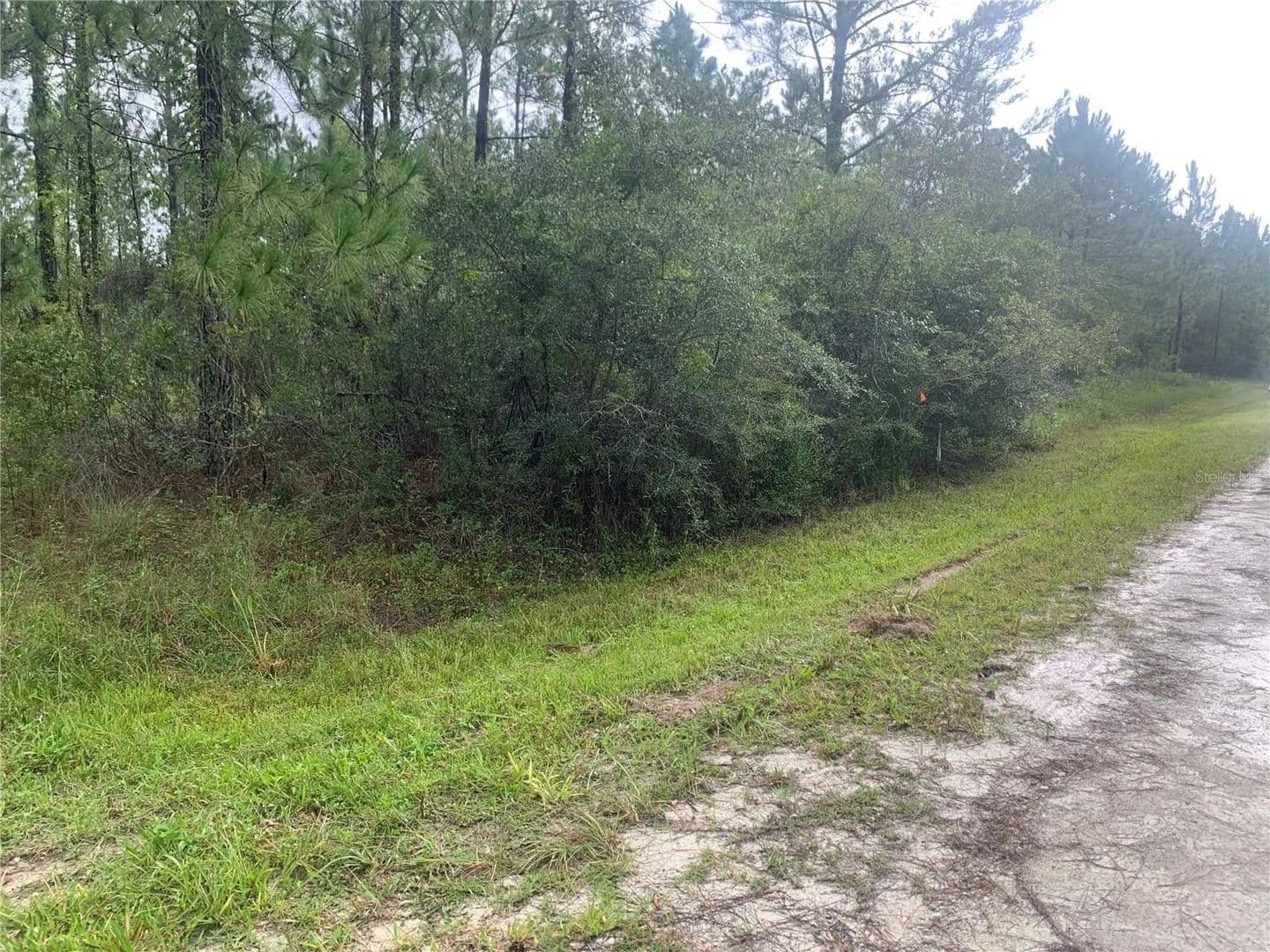 Lots & Land-Other in WEBSTER - Webster, Florida, 33597