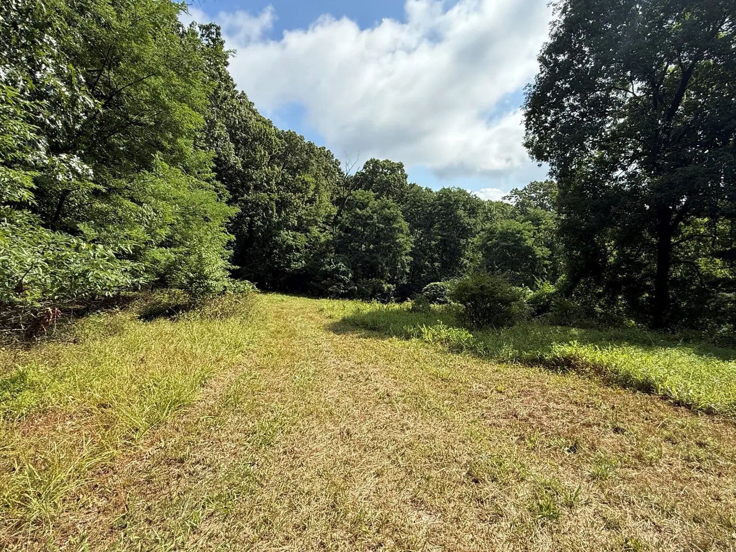 Vacant Land (10+ Acres) in Mohnton - Mohnton, Pennsylvania, 19540