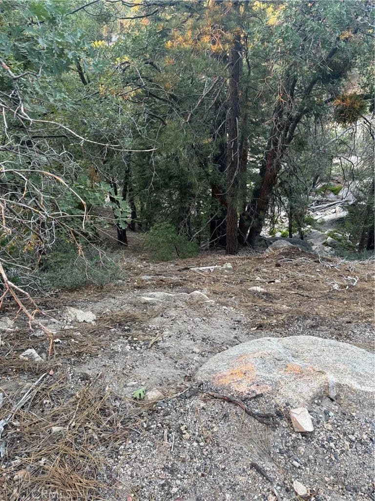 Vacant Land in Running Springs - Running Springs, California, 92382