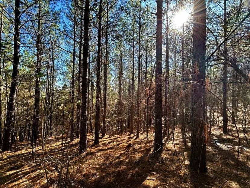 Property from 15.53ac Redman Ridge Lane - KW