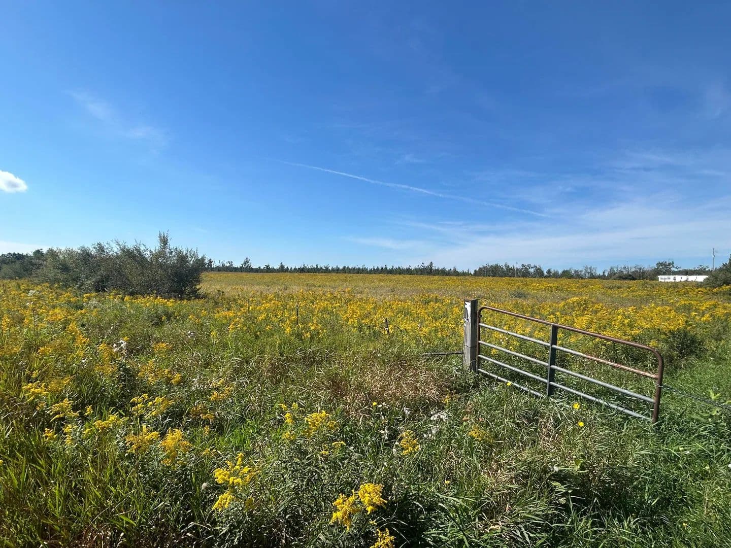 Vacant Land in Lincoln - Lincoln, Michigan, 48742
