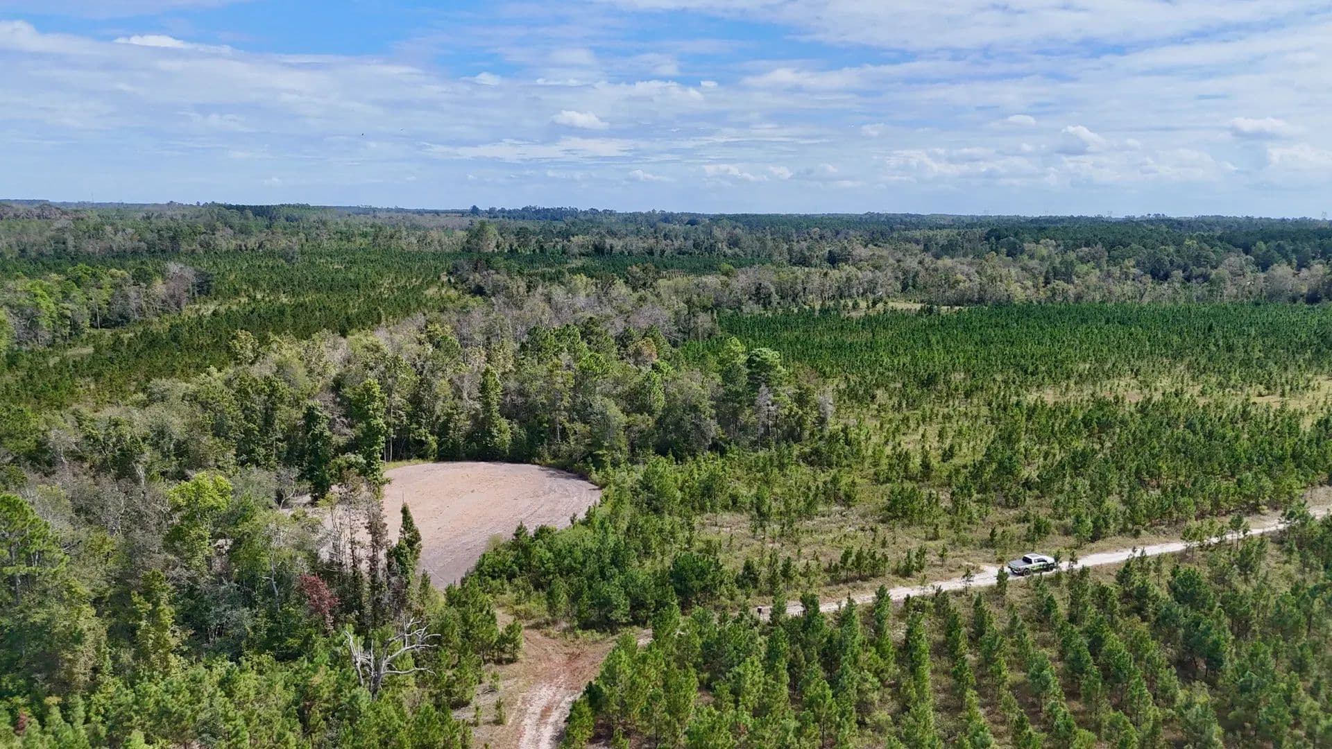 181 Acres of Land for Sale in Hazlehurst, GA - Hazlehurst, Georgia, 31539
