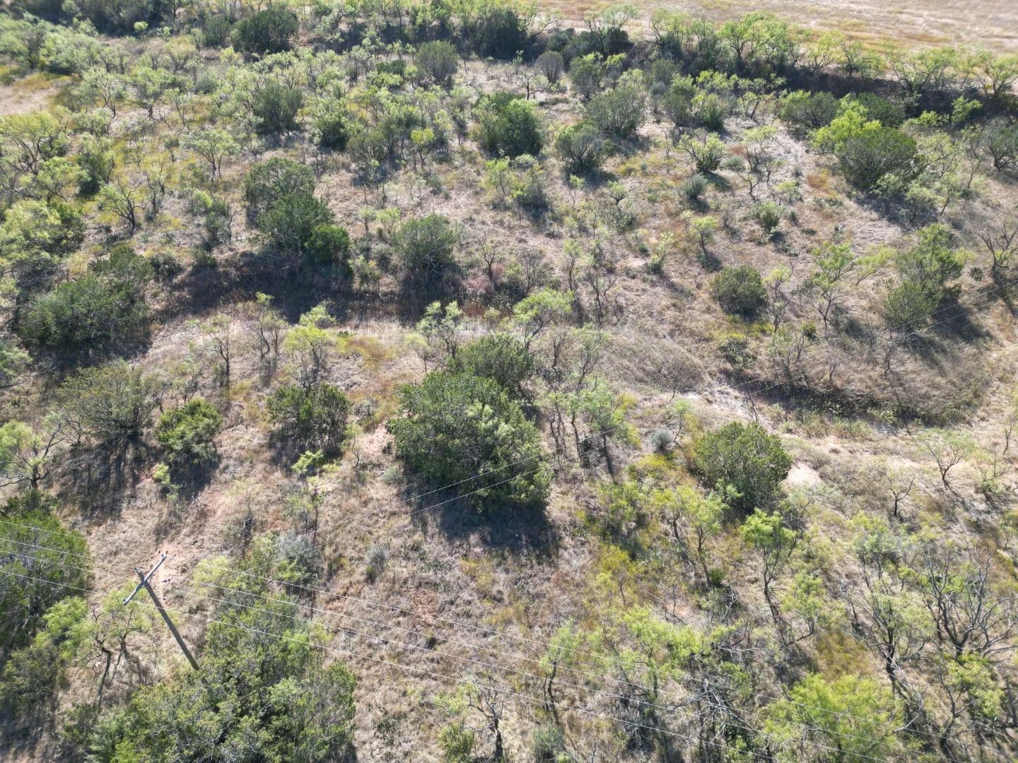NEW LISTING!! 51 +/- Ac TBD 196 (Tr 1), Ovalo - Ovalo, Texas, 79567