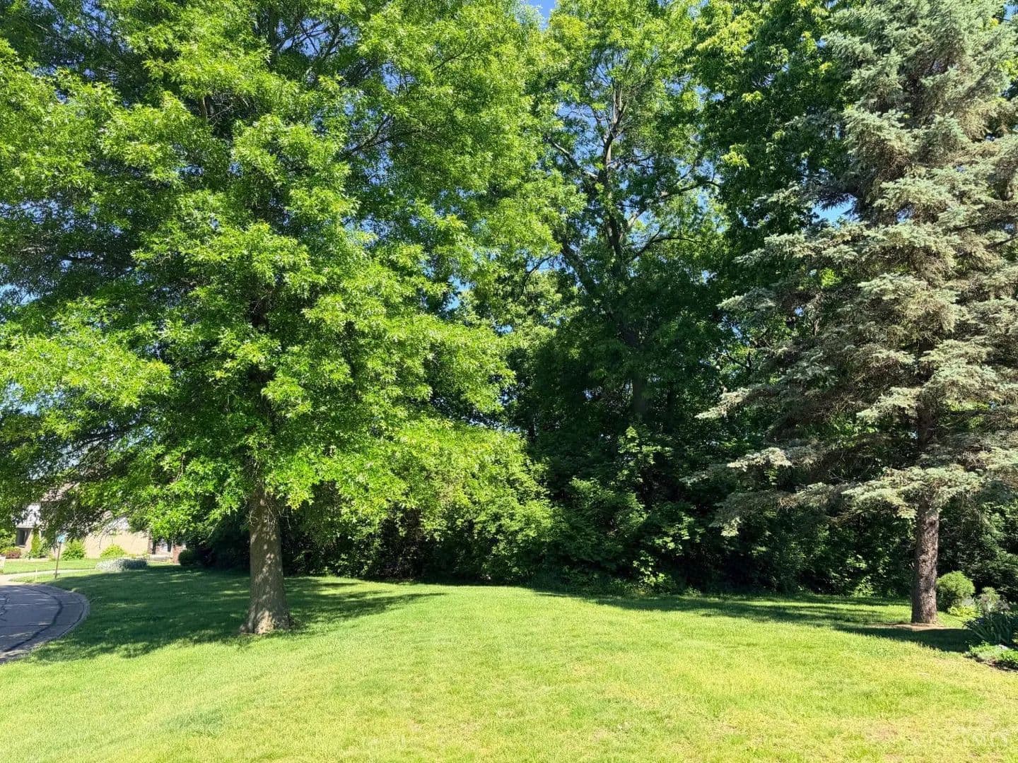 Vacant Land in Cincinnati - Cincinnati, Ohio, 45211
