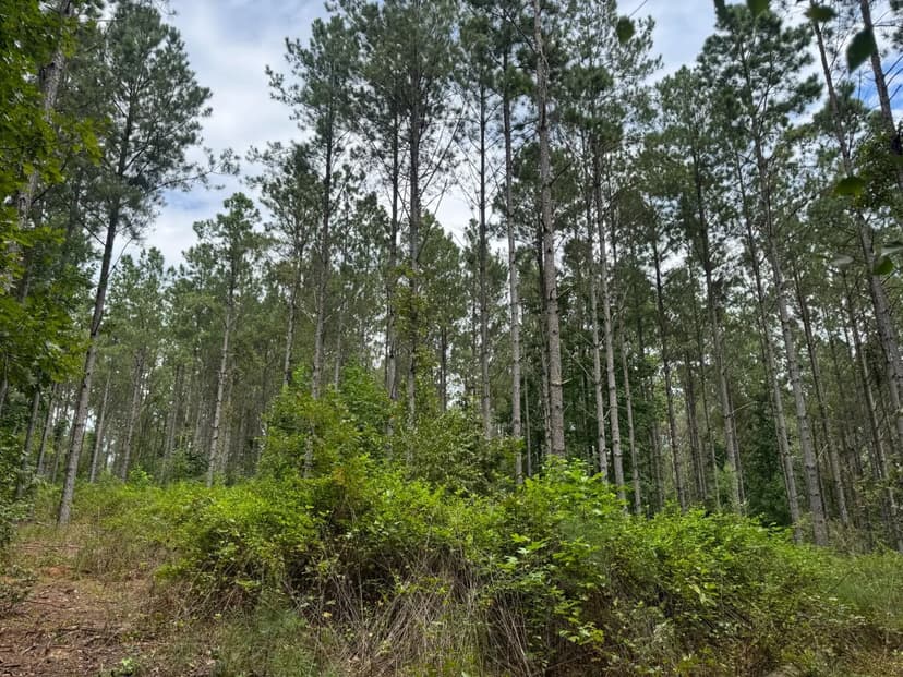 99.58+/- acres in north Heard County