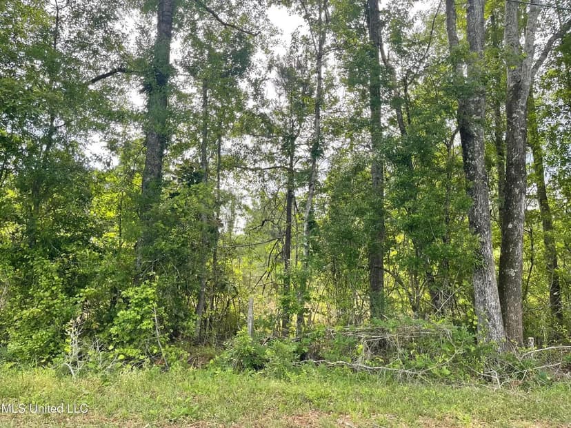 Lots & Land-Other in McLain