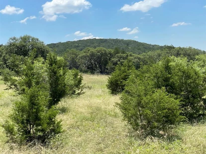 Property from 3255 County Road 435 - KW