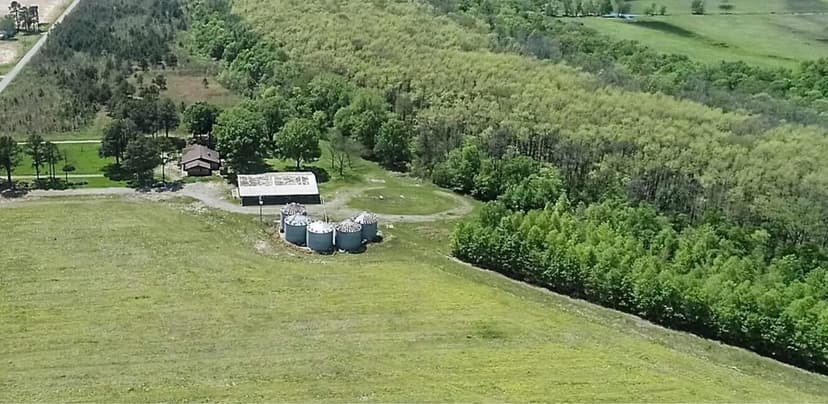 Scott 45 House and Woods