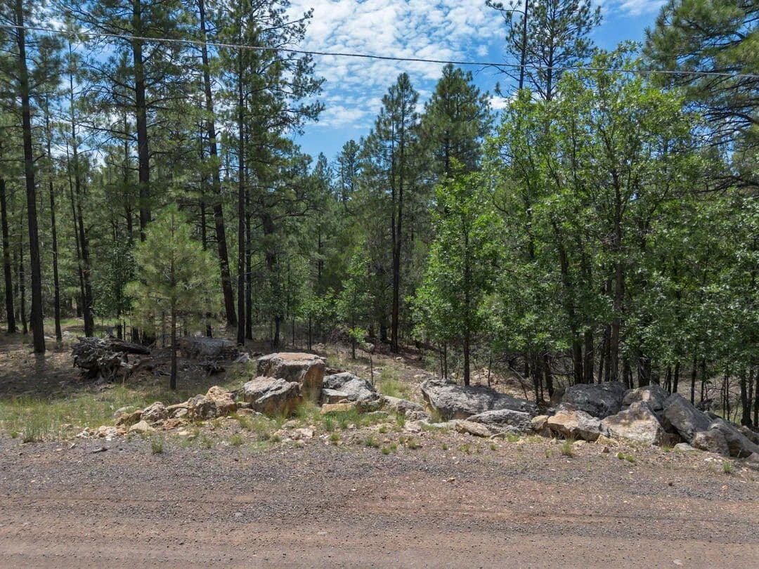 Lots & Land-Other in Happy Jack - Happy Jack, Arizona, 86024