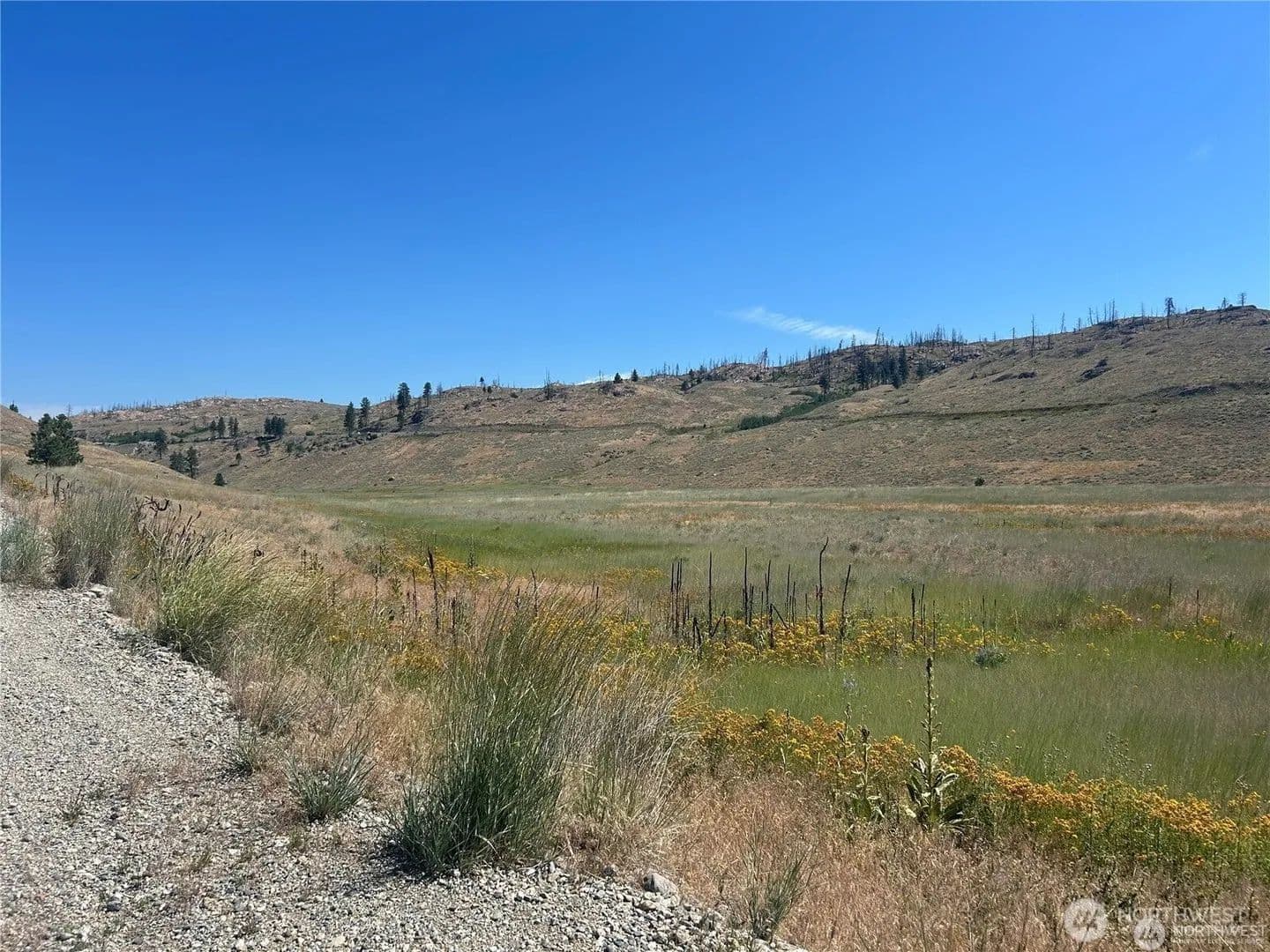 Lots & Land-Other in Oroville - Oroville, Washington, 98844