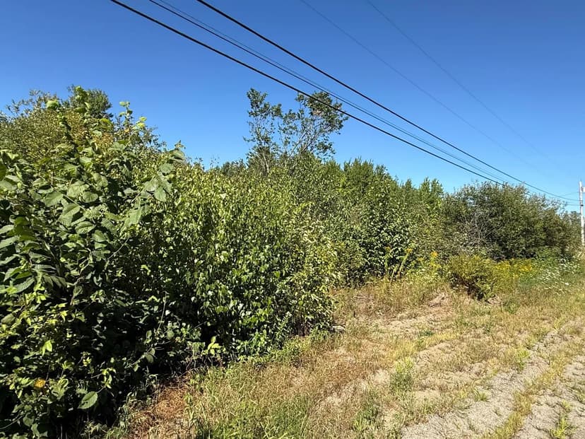 Vacant Land in Kenduskeag