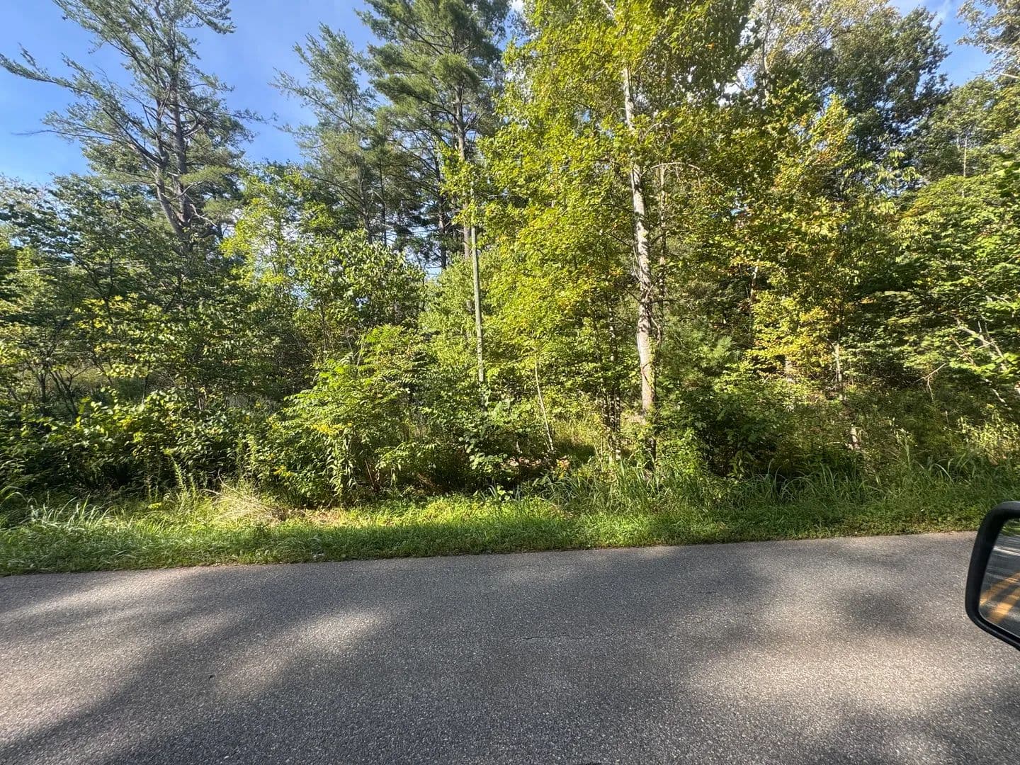 Vacant Land (0-10 Acres) in Gladstone - Gladstone, Virginia, 24553