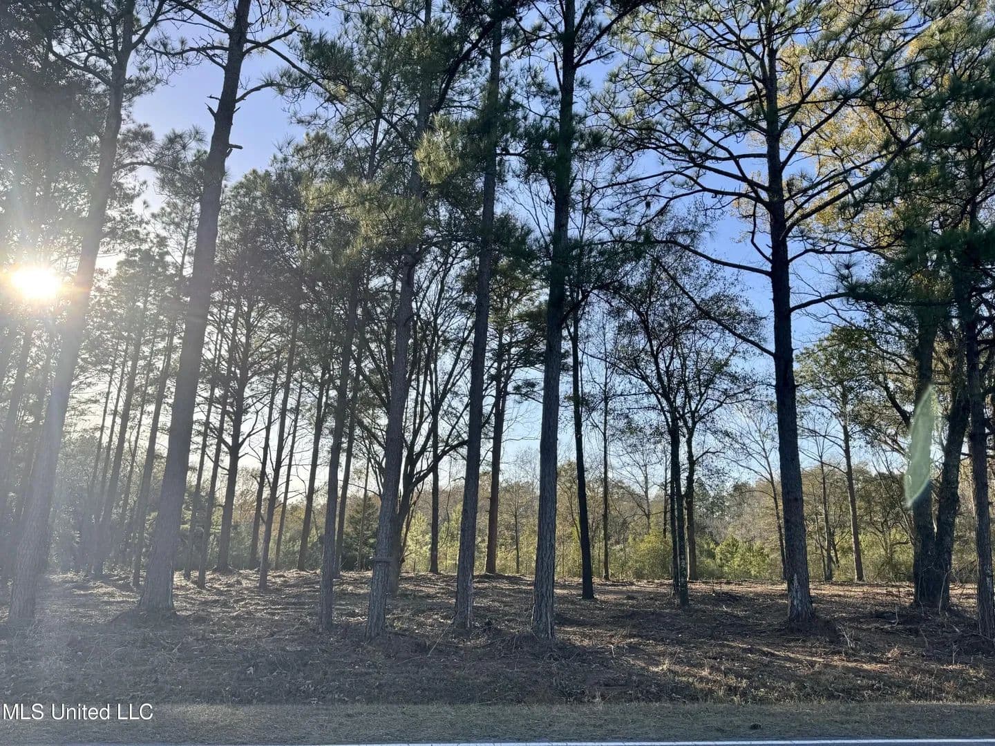 Lots & Land-Other in Lucedale - Lucedale, Mississippi, 39452