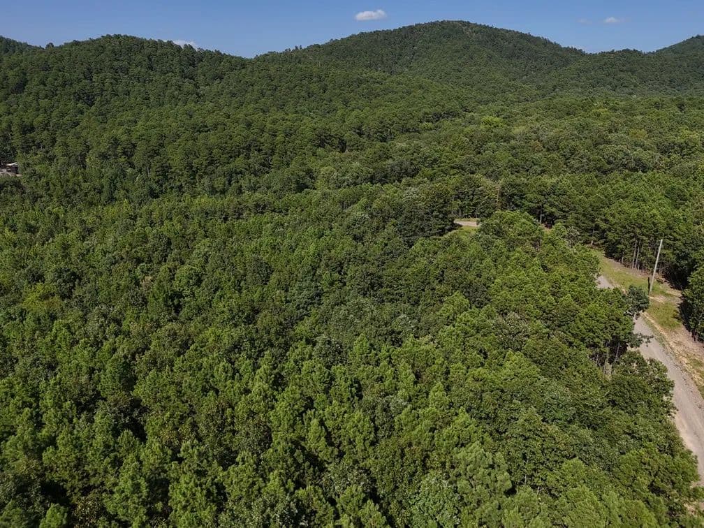 Land -Single Family Acreage in Mena - Mena, Arkansas, 71953