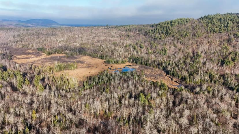 Lots & Land-Other in Black Brook