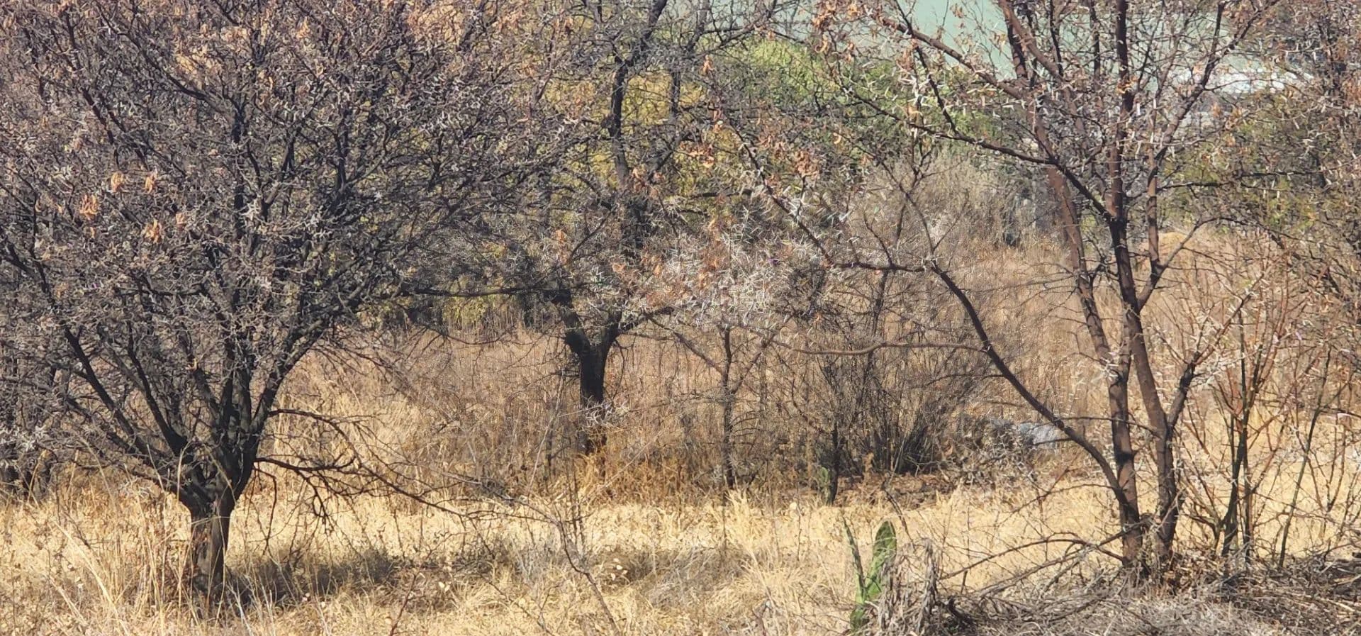 Land for Sale in Vaal Marina, Gauteng - land for sale