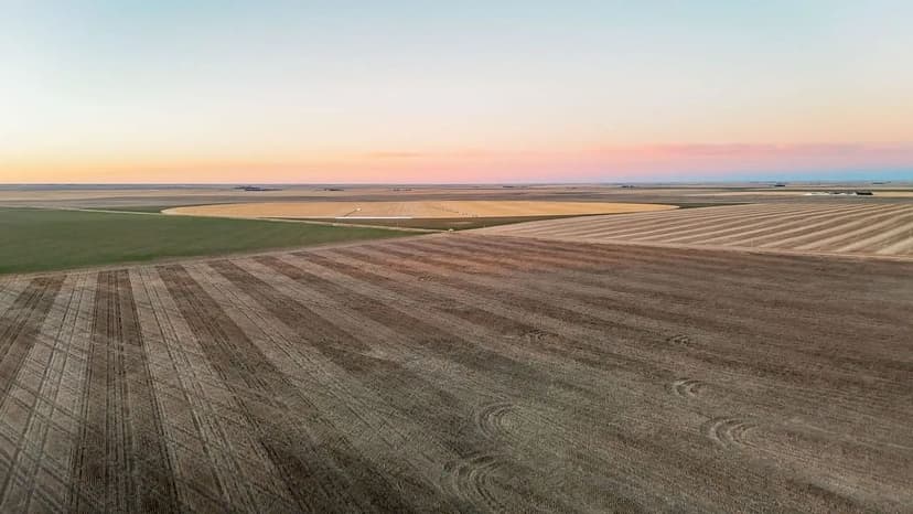 Dirks Irrigated/Dryland/Pasture Land Auction (Tract #1)