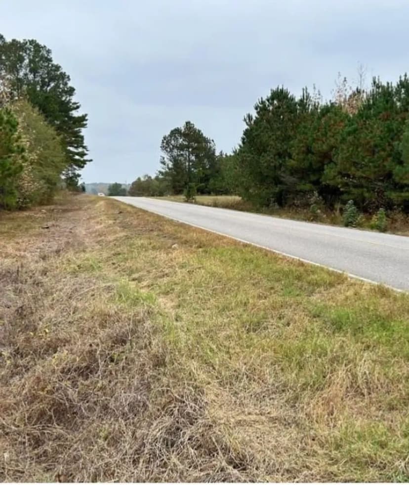 +/- 28 Acres Vernon Alabama