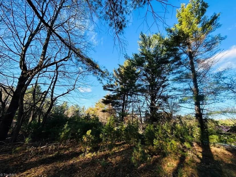 Vacant Land in Galax