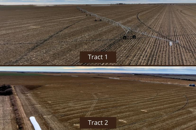 Online Auction for 286+/- Acres in Phelps County, NE