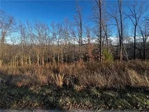 Property from Selkirk Drive - KW - Bella Vista, Arkansas, 72715