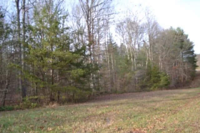 11.61 AC / MOSTLY LEVEL – WOODED / CREEK 
