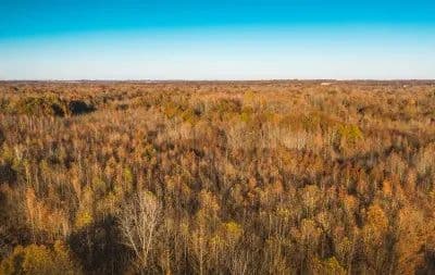 307 River Bottom Hunting Tract