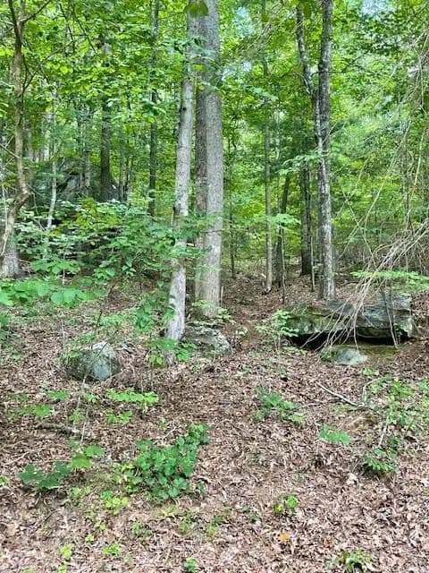 Property from 11 Lonesome Pine Road - KW - Murphy, North Carolina, 28906