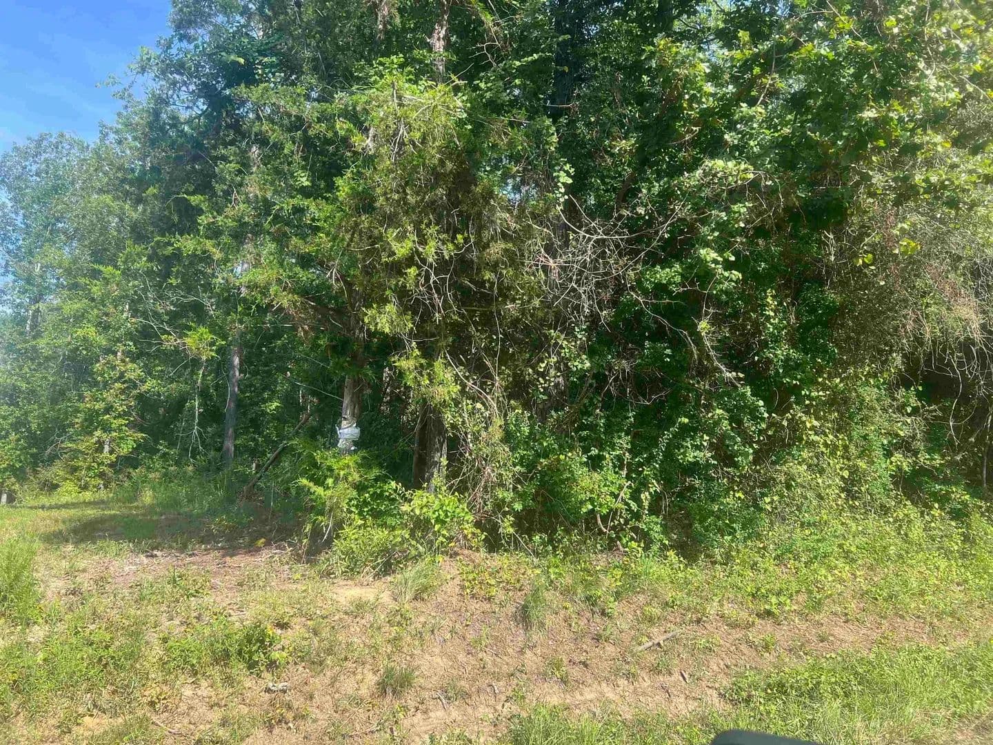 Lots & Land-Other in De Berry - De Berry, Texas, 75672