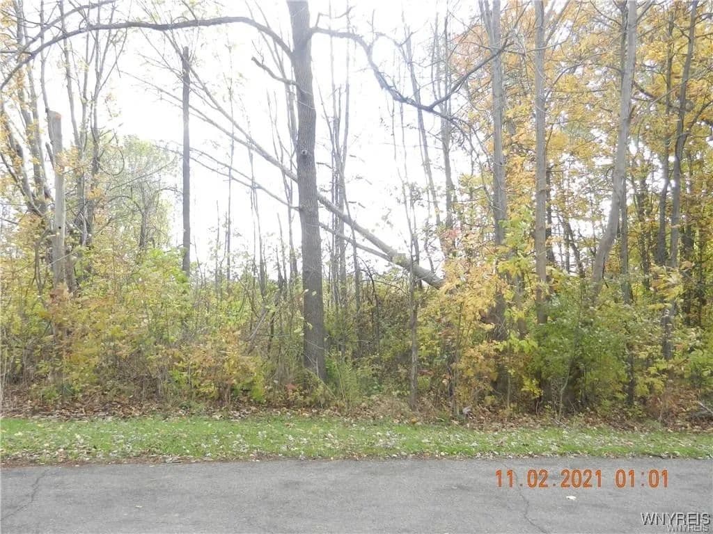 Vacant Land in Evans - Evans, New York, 14006