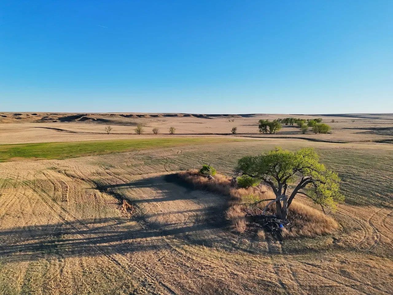 Half Section of Expired CRP with a Newly Accepted 10 Year CRP Contract - Sharon Springs, Kansas, 67758