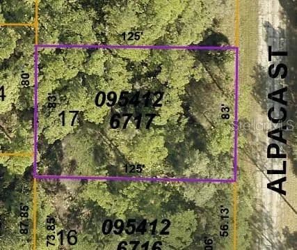 Vacant Land in North Port - North Port, Florida, 34291