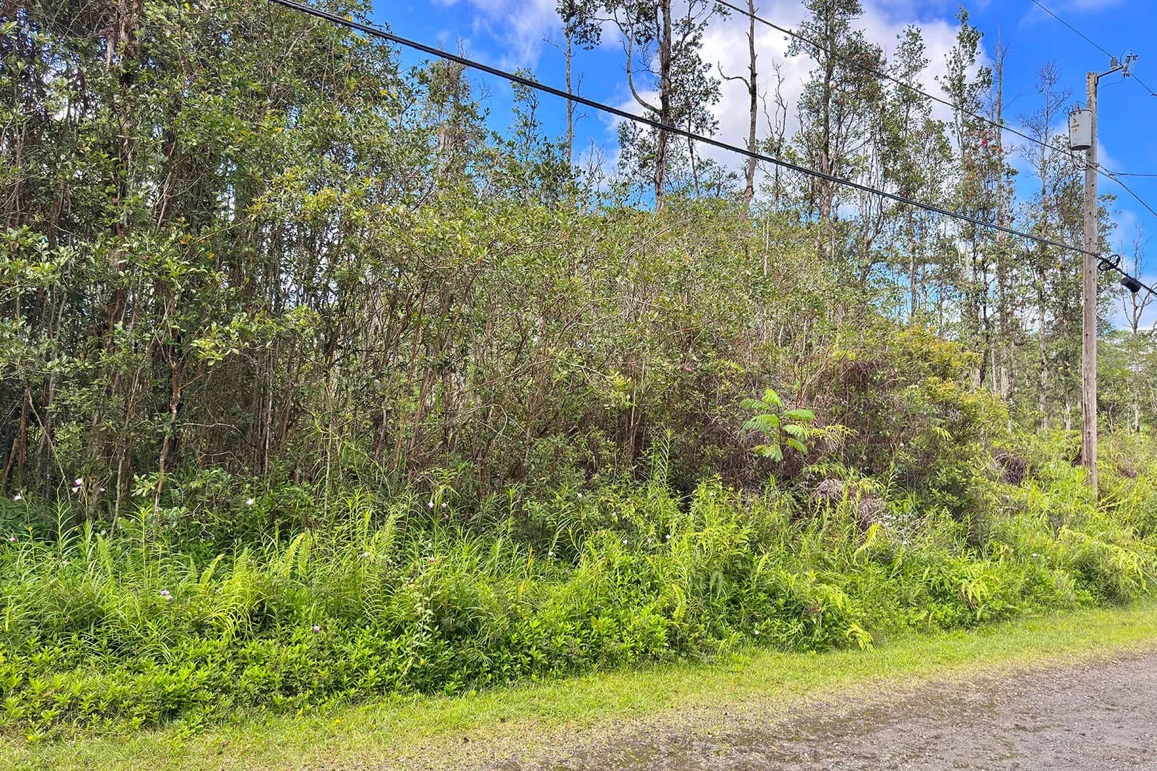 0.21 Acres of Land for Sale in Pahoa, Hawaii - Pahoa, Hawaii, 96778