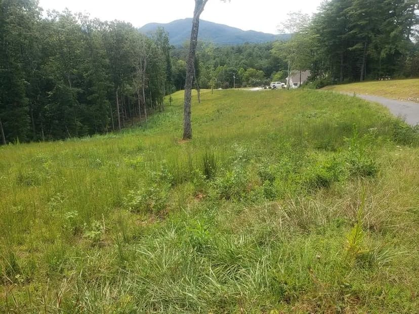 Lots & Land-Other in Young Harris