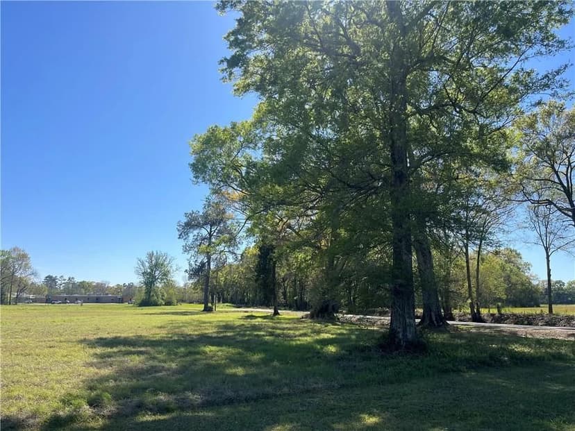 Lots & Land-Other in Mansura
