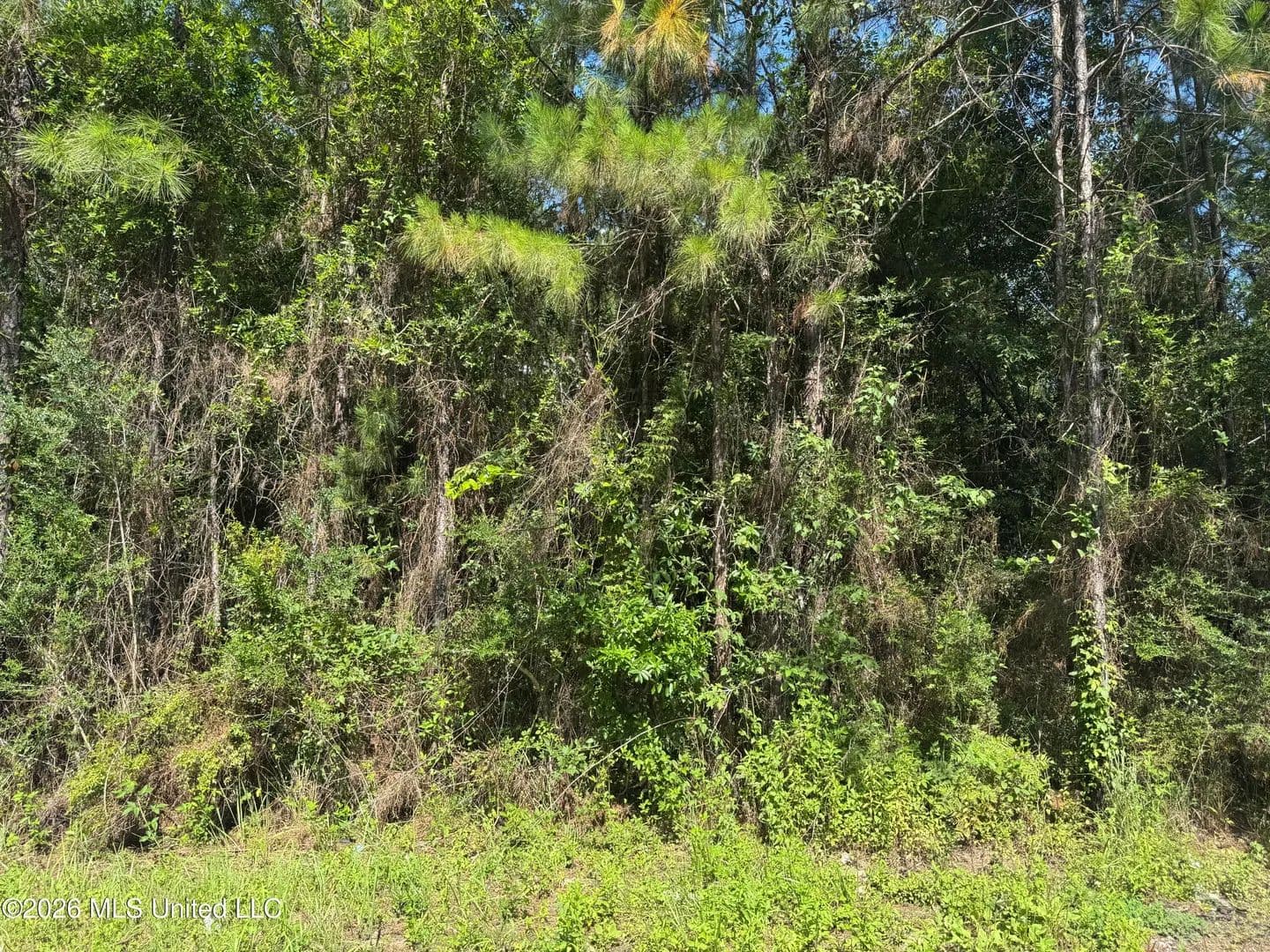 Vacant Land in Saucier - Saucier, Mississippi, 39574
