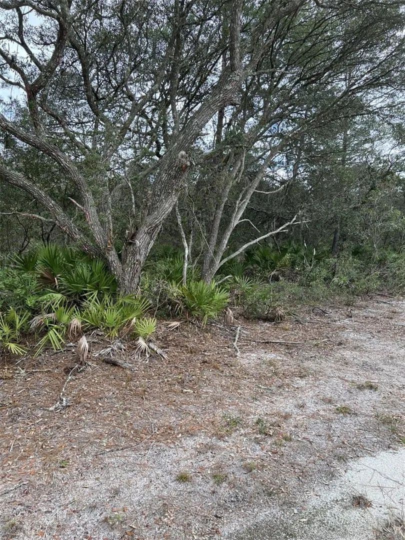 Lots & Land-Other in FORT MC COY - Fort Mc Coy, Florida, 32134