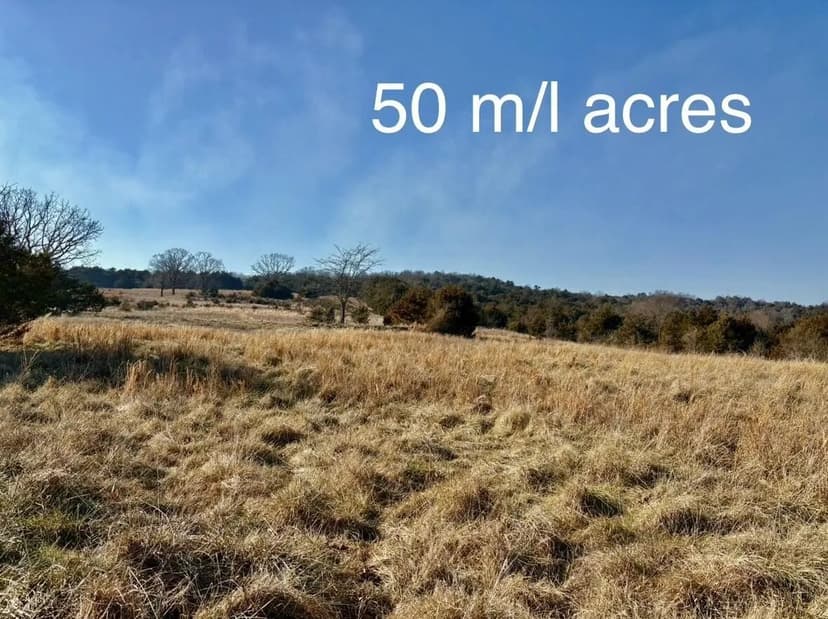 Lots & Land-Other in Theodosia